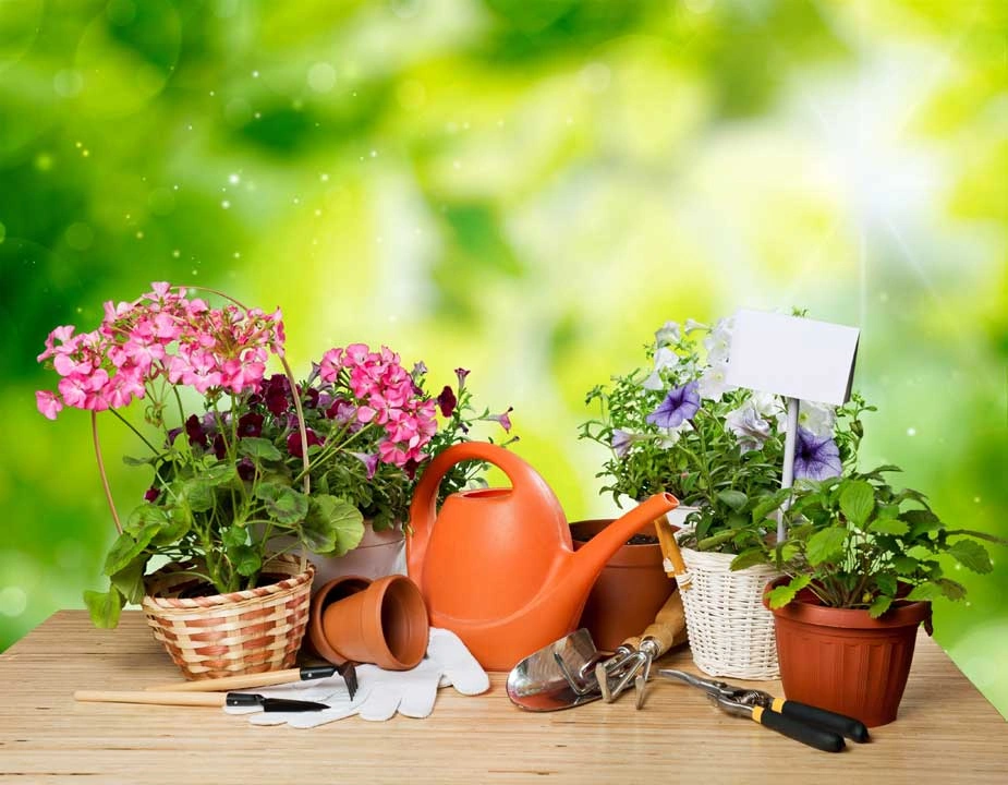 home-decor-and-garden (14)